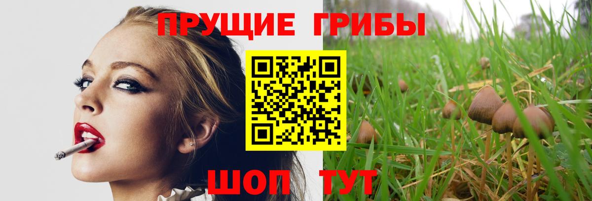 Псилоцибиновые грибы прущие грибы  Вход с VPN  Новоалтайск 
