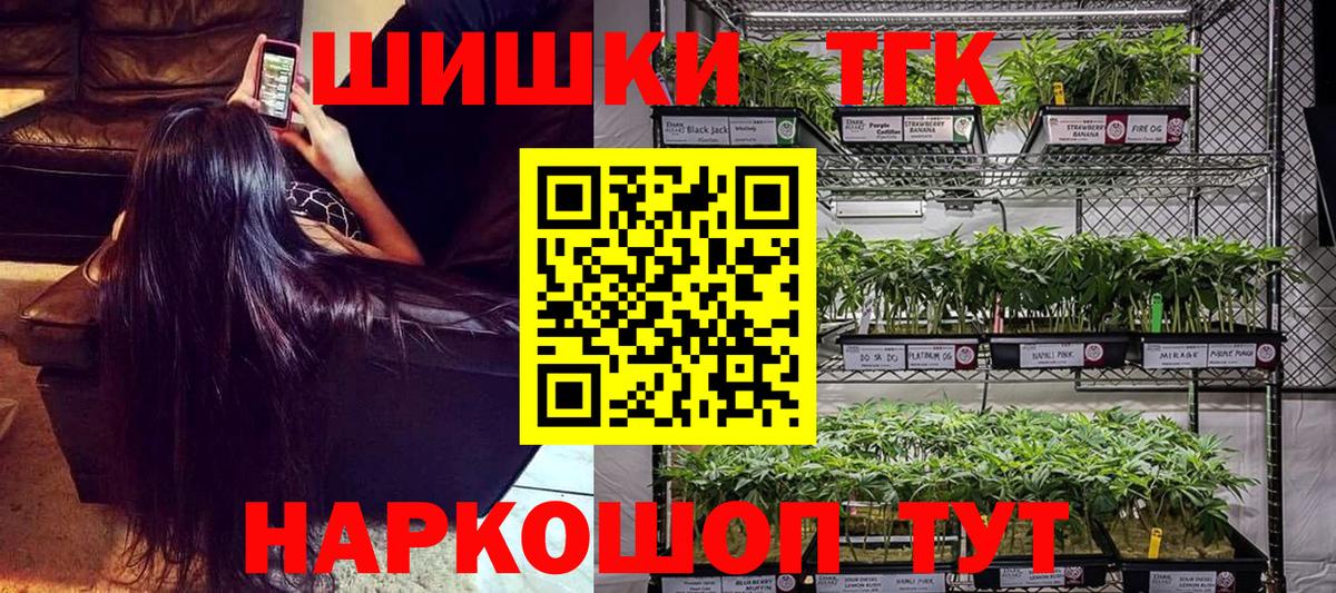 Канабис сатива Новоалтайск